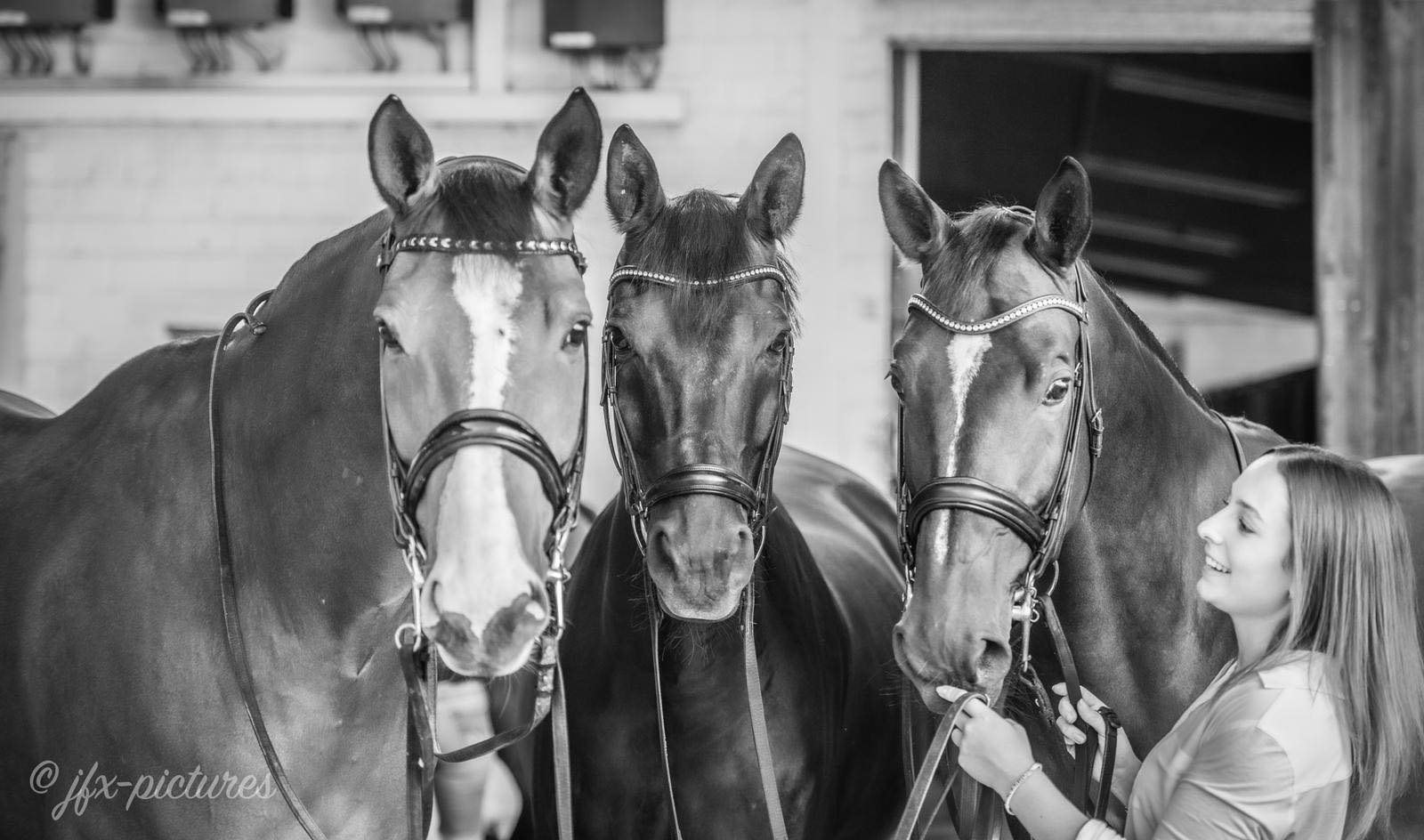 Valpiano und Anastasia Rutsch 2019, Trakehner Gestt Hmelschenburg