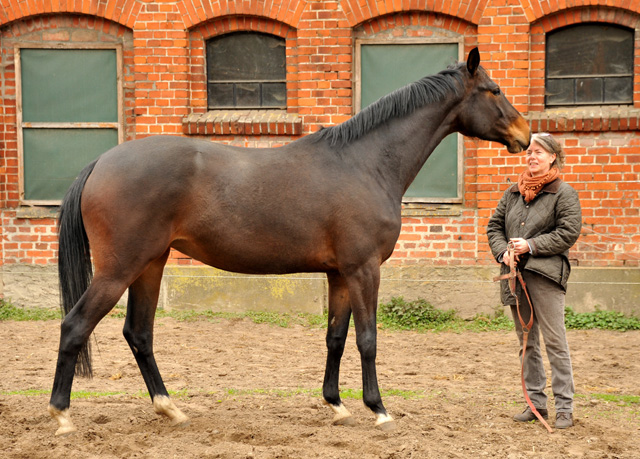 Trakehner Stute GARDEMASS von Shavalou u.d. Elitestute Gloriette v. Kostolany, Foto: Beate Langels