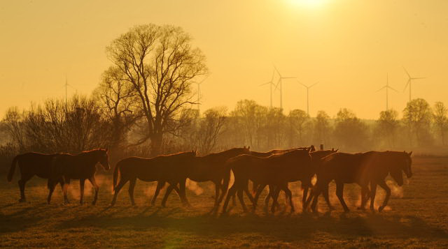  - Gestt Schplitz - Foto: Beate Langels