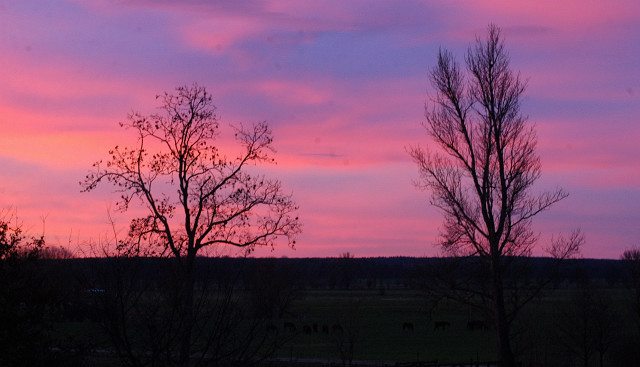 Blick ber die Weiden im Gestt Schplitz - Foto: Richard Langels