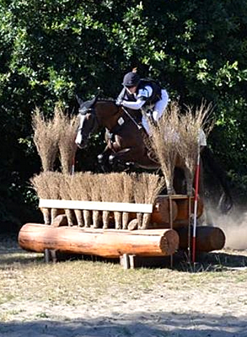 Trakehner Prmienstute GRENADINE  von Saint Cyr u.d. Pr.u.StPrSt. Grace Note v. Alter Fritz - copyright Langels, Trakehner 
Gestt Hmelschenburg