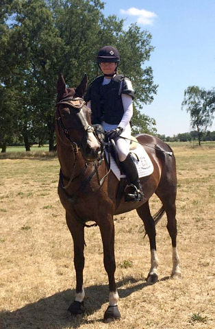 Trakehner Prmienstute GRENADINE  von Saint Cyr u.d. Pr.u.StPrSt. Grace Note v. Alter Fritz - copyright Langels, Trakehner 
Gestt Hmelschenburg