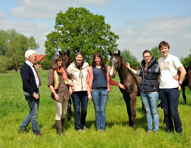 Jhrlingshengst Theo v. Millenium u.d. Pr.u.StPr.St. Thalia v. Exclusiv - Gestt Schplitz im Mai 2013 - Foto: Trakehner Gestt Hmelschenburg- Beate Langels