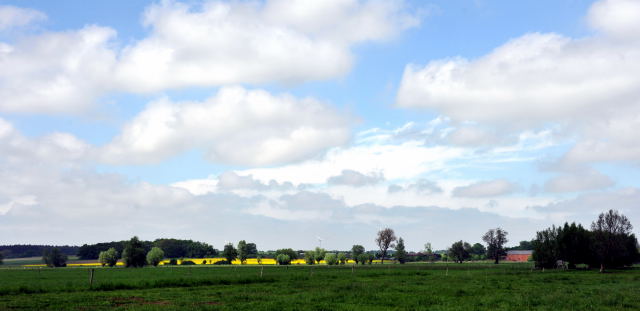 Gestt Schplitz - Foto: Beate Langels, Trakehner Gestt Hmelschenburg