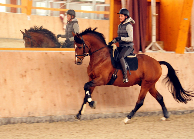 High Motion v. Saint Cyr x Summertime - Beate Langels Gestt Hmelschenburg