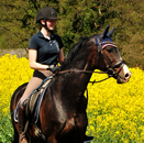 Impressionen vom Mai 2021 - Trakehner Gestt Hmelschenburg  - Foto: Beate Langels