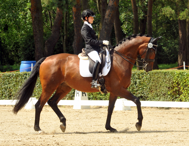 Sacre de L'Est v. Freudenfest - Gestt Schplitz - copyright Beate Langels, Trakehner Gestt Hmelschenburg