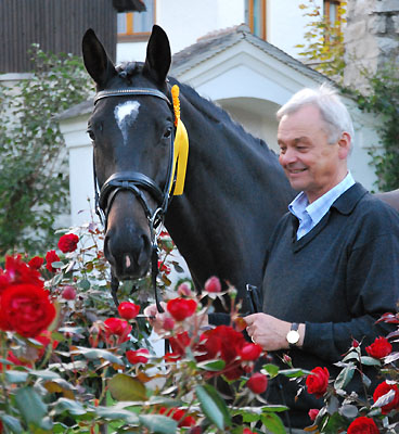 Pr.A. u. StPrSt. Schwalbenmrchen v. Kostolany u.d. Schwalbenfeder v. Summertime, Trakehner Gestt Hmelschenburg, Foto: Gutmann