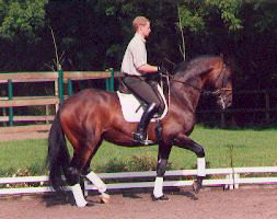 Showmaster v. Kostolany u.d. Elitestute Schwalbenburg v. Ibikus, Foto: Beate Langels