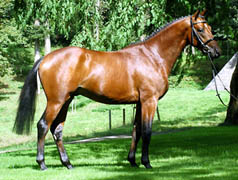 Scoubidou v. Summertime u.d. Scharade v. Herzruf