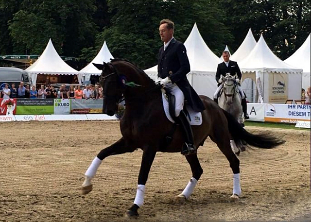 Seal - Trakehner von Gribaldi u.d. Pr.St. Schwalbenspiel v. Exclusiv, Trakehner Gestt Hmelschenburg