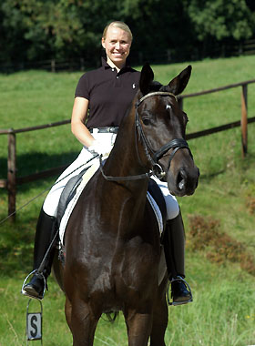 Seal - Trakehner von Gribaldi u.d. Pr.St. Schwalbenspiel v. Exclusiv, Gestt Hmelschenburg