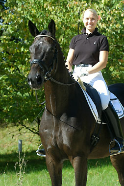 Seal - Trakehner von Gribaldi u.d. Pr.St. Schwalbenspiel v. Exclusiv, Gestt Hmelschenburg