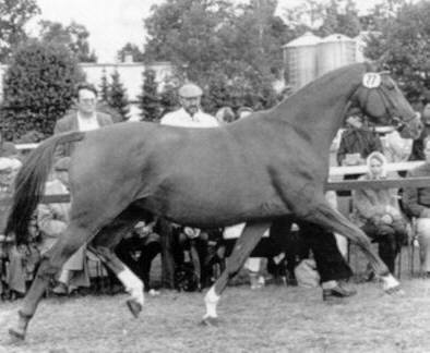 Serenade v. Elfenglanz, Foto: Archiv