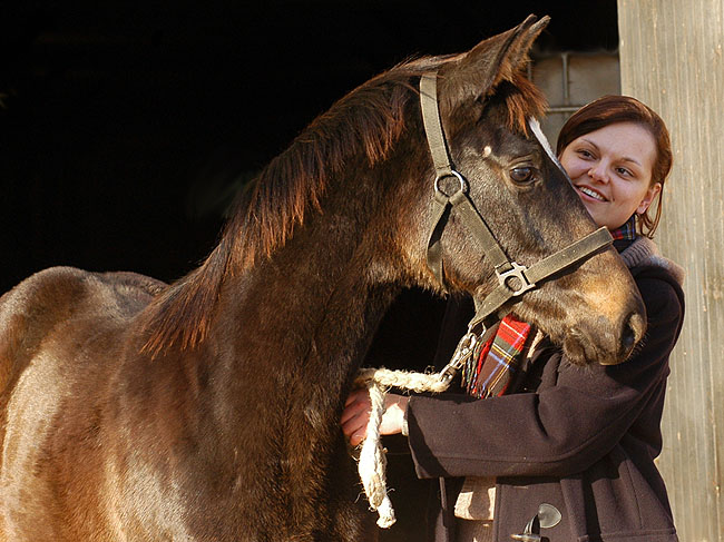 Schwalbenmrchen v. Kostolany u.d. Schwalbenfeder v. Summertime, Trakehner Gestt Hmelschenburg