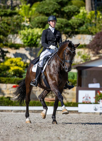 Piaff Frder Pris in Kronberg  2020 - Seal von Gribaldi u.d. Elitestute Schwalbenspiel v. Exclusiv - Foto: Stefan Lafrentz - 
Trakehner Gestt Hmelschenburg