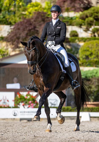 Piaff Frder Pris in Kronberg  2020 - Seal von Gribaldi u.d. Elitestute Schwalbenspiel v. Exclusiv - Foto: Stefan Lafrentz - 
Trakehner Gestt Hmelschenburg