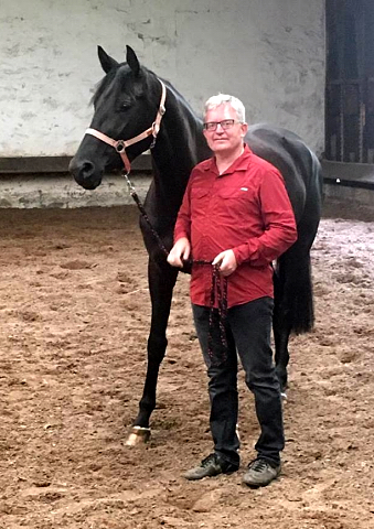 Smilla v. Oliver Twist u.d. Schwalbenfee v. Freudenfest - ausgezeichnet als Prmienanwrterin des Trakehner Verbandes - 
Foto: Beate Langels