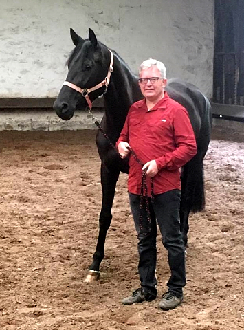 Smilla v. Oliver Twist u.d. Schwalbenfee v. Freudenfest - ausgezeichnet als Prmienanwrterin des Trakehner Verbandes - 
Foto: Beate Langels