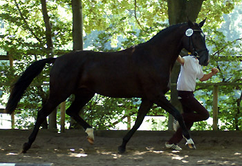 Prmienanwrterin Schwalbenmagie v. Exclusiv - Freudenfest - Enrico Caruso, Foto: Beate Langels