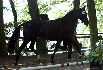 Prmienanwrterin Schwalbenmagie v. Exclusiv - Freudenfest - Enrico Caruso, Foto: Beate Langels