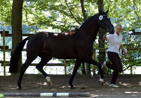 Prmienanwrterin Schwalbenmagie v. Exclusiv - Freudenfest - Enrico Caruso, Foto: Beate Langels