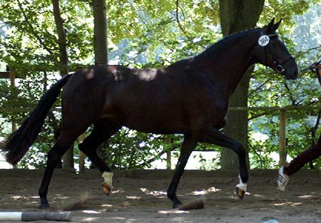 Prmienanwrterin Schwalbenmagie v. Exclusiv - Freudenfest - Enrico Caruso, Foto: Beate Langels