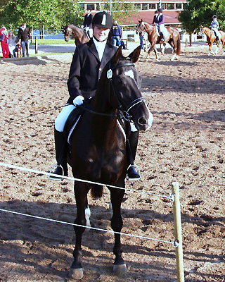 Snapper v. Kostolany