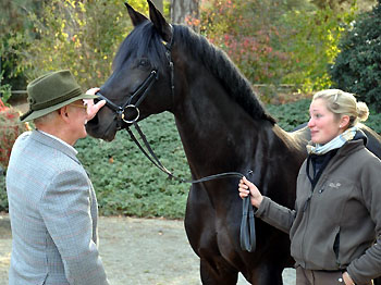 Bundeschampion 2010: Songline v. Summertime - Exclusiv, 6jhrig - Foto: Beate Langels, Gestt Hmelschenburg