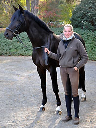 Bundeschampion 2010: Songline v. Summertime - Exclusiv, 6jhrig - Foto: Beate Langels, Gestt Hmelschenburg