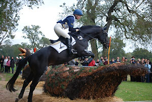 Bundeschampion 2010: Songline v. Summertime - Exclusiv, 6jhrig - Foto: Beate Langels, Gestt Hmelschenburg