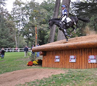 Bundeschampion 2010: Songline v. Summertime - Exclusiv, 6jhrig - Foto: Beate Langels, Gestt Hmelschenburg