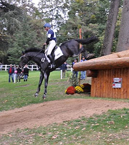 Bundeschampion 2010: Songline v. Summertime - Exclusiv, 6jhrig - Foto: Beate Langels, Gestt Hmelschenburg