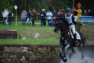 Bundeschampion 2010: Songline v. Summertime - Exclusiv, 6jhrig - Foto: Beate Langels, Gestt Hmelschenburg