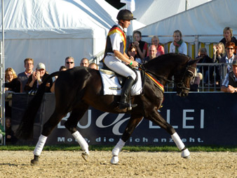 Bundeschampion 2010: Songline v. Summertime - Exclusiv, 6jhrig - Foto: Beate Langels, Gestt Hmelschenburg