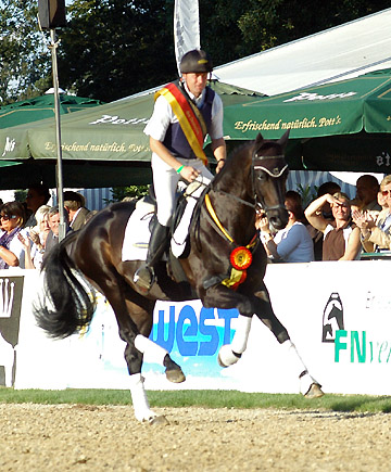 Bundeschampion 2010: Songline v. Summertime - Exclusiv, 6jhrig - Foto: Beate Langels, Gestt Hmelschenburg