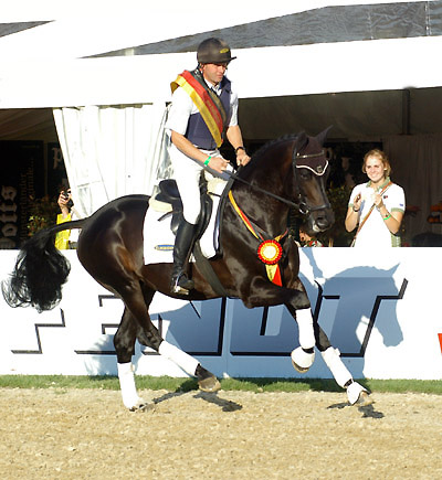 Bundeschampion 2010: Songline v. Summertime - Exclusiv, 6jhrig - Foto: Beate Langels, Gestt Hmelschenburg