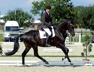 Bundeschampion 2010: Songline v. Summertime - Exclusiv, 6jhrig - Foto: Beate Langels, Gestt Hmelschenburg