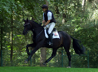 Bundeschampion 2010: Songline v. Summertime - Exclusiv, 6jhrig - Foto: Beate Langels, Gestt Hmelschenburg