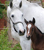 Thalia mit ihrer jngsten Tochter von Summertime