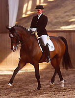 Stauffenberg von Manrico u.d. Schwalbenlust v. Enrico Caruso