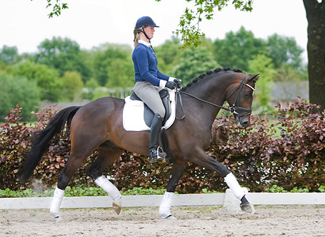 4-jhrig: Symont von Monteverdi und der Syvari v. Kostolany, Foto: Team Nijhof
