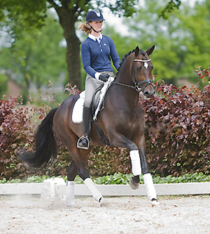 4-jhrig - Symont von Monteverdi und der Syvari v. Kostolany, Foto: Team Nijhof