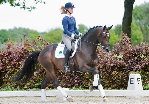 4-jhrig: Symont von Monteverdi und der Syvari v. Kostolany, Foto: Team Nijhof