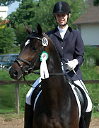 3jhriger Trakehner Hengst Symont