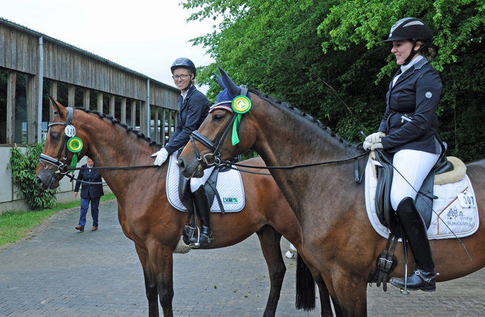 Taluna - Trakehner Prmienstute von Alter Fritz u.d. Pr.u.StPrSt. Tacyra v. 
Saint Cyr - Foto: Beate Langels - Trakehner Gestt Hmelschenburg