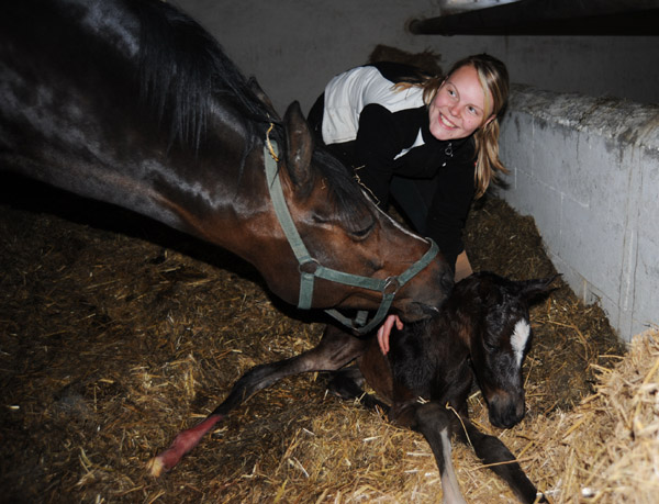 Stutfohlen von Totilas u.d. Trakehner Prmien- u. Staatsprmienstute Schwalbenfeder v. Summertime, Foto: Beate Langels, Trakehner Gestt Hmelschenburg