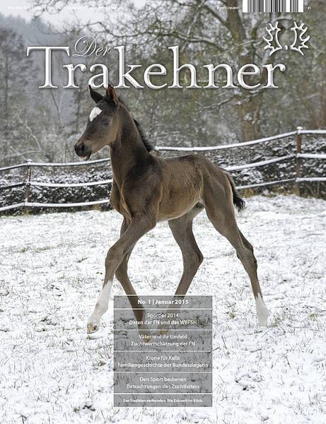 Hengstfohlen von Saint Cyr u.d. PrSt. Greta Garbo v. Alter Fritz, Foto: Beate Langels, 
Trakehner Gestt Hmelschenburg - Beate Langels