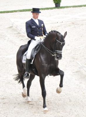 Dressur Europameister TOTILAS und Mathias-Alexander Rath - ein Enkel des Trakehner Hengstes Kostolany - Foto: Tim Mller - Trakehner Gestt Hmelschenburg