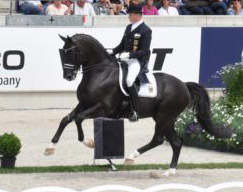 Dressur Europameister TOTILAS und Mathias-Alexander Rath - ein Enkel des Trakehner Hengstes Kostolany - Foto: Tim Mller - Trakehner Gestt Hmelschenburg